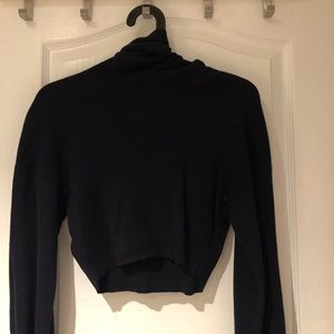 Aritzia Rebecca sweater